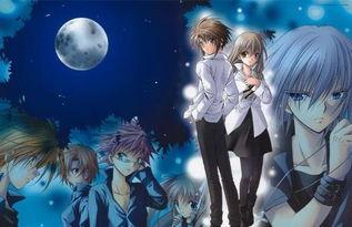 日本动漫小说,动漫世界的奇幻冒险之旅